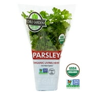 Edible Garden Organic Potted Parsley Herb, 1 Count