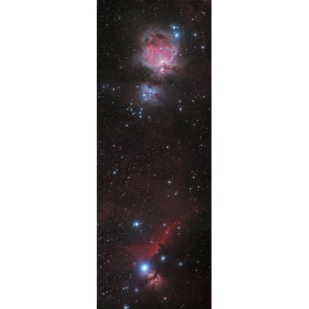 Mosaic of Orion Nebula and Horsehead Nebula. Poster Print (8 x 23 ...