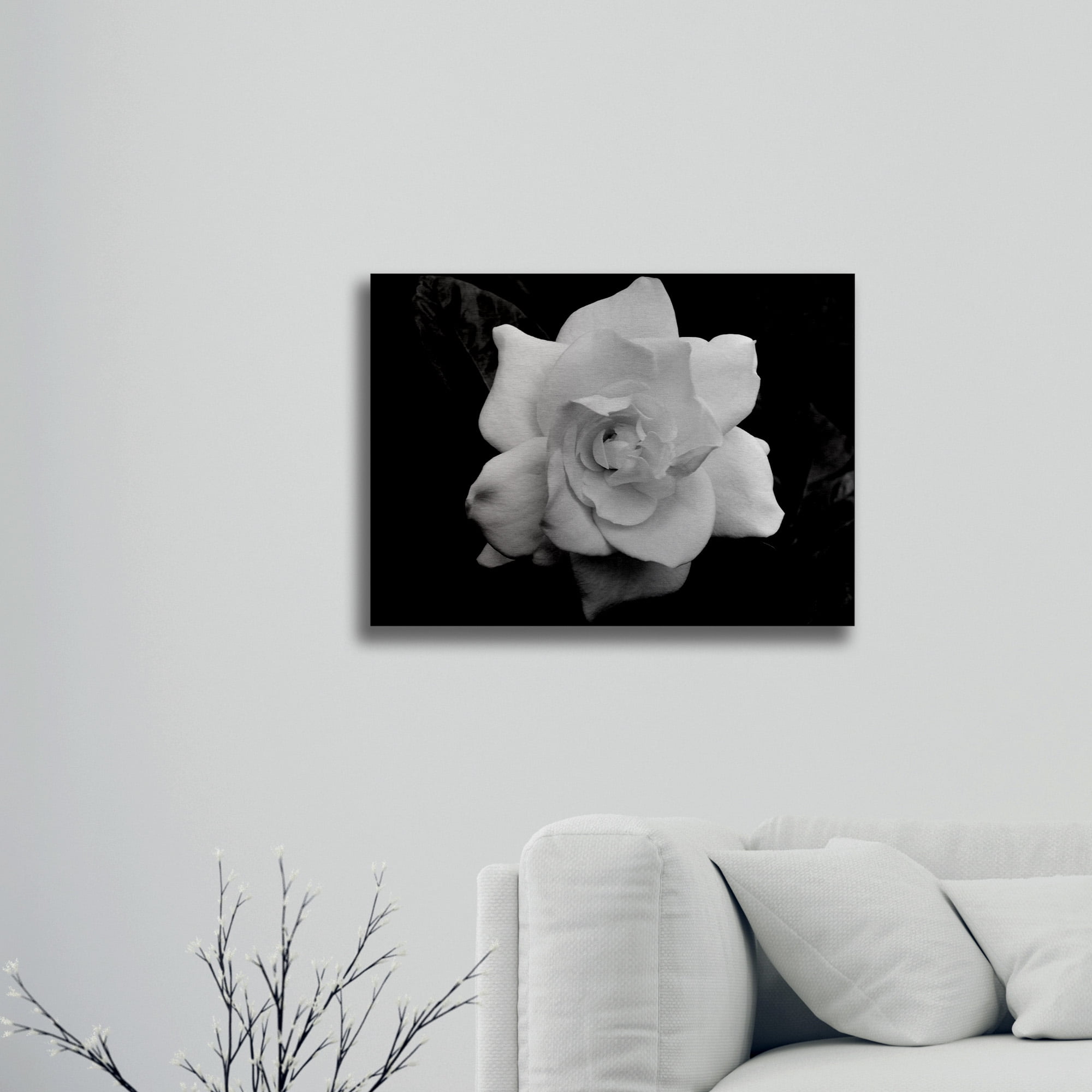 Trademark Fine Art 'Gardenia in Black and White' Brushed Aluminum Wall Art Art by Kurt Shaffer