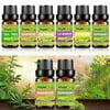 6Pcs/Set Essential Oils 100% Natural Aromatherapy Fragrances Diffuser KIUNO 10ML