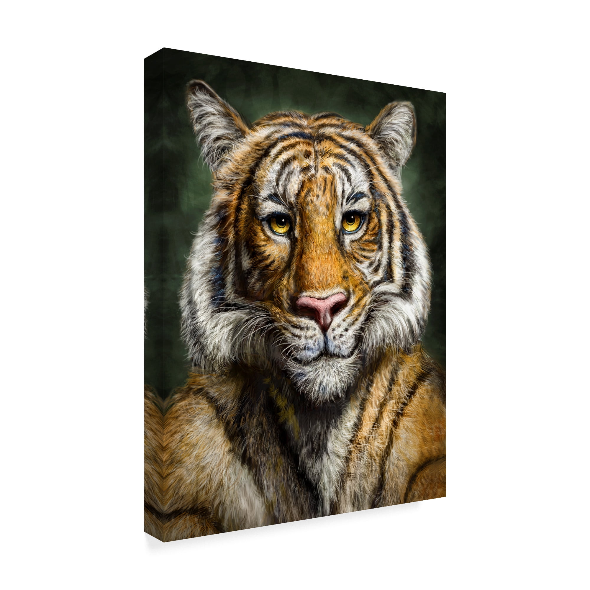 Trademark Fine Art 'Tiger Totem' Canvas Art by Patrick LaMontagne