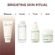 thumbnail image 5 of Espuma limpiadora Espuma limpiadora de poros volcánicos Innisfree + paquete para 2 narices, 5 of 7