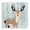 Deer In Birch Woods, variant on Stupell Industries Cottage Whimsical Fox on Florals Canvas Art, 17 x 17, by Kim Allen