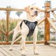 thumbnail image 4 of Arnés para perros HEELE sin tirones, ajustable, acolchado, reflectante, gris XL, 4 of 6