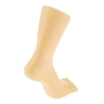 thumbnail image 4 of Toe Tobillo Cadena Maniquí Pie Pantalla Modelo 20cm Soporte Carne Color Derecho Sunnimix Pantalla de pie de maniquí, 4 of 7