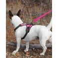 thumbnail image 3 of LAICAIW Double-Sided Reflective Dog Leash, 6 FT/5 FT/4 FT, Padded Handle Nylon Dogs Leashes for Small & Medium Dogs Walking, Hotpink, 4FT, 3 of 6