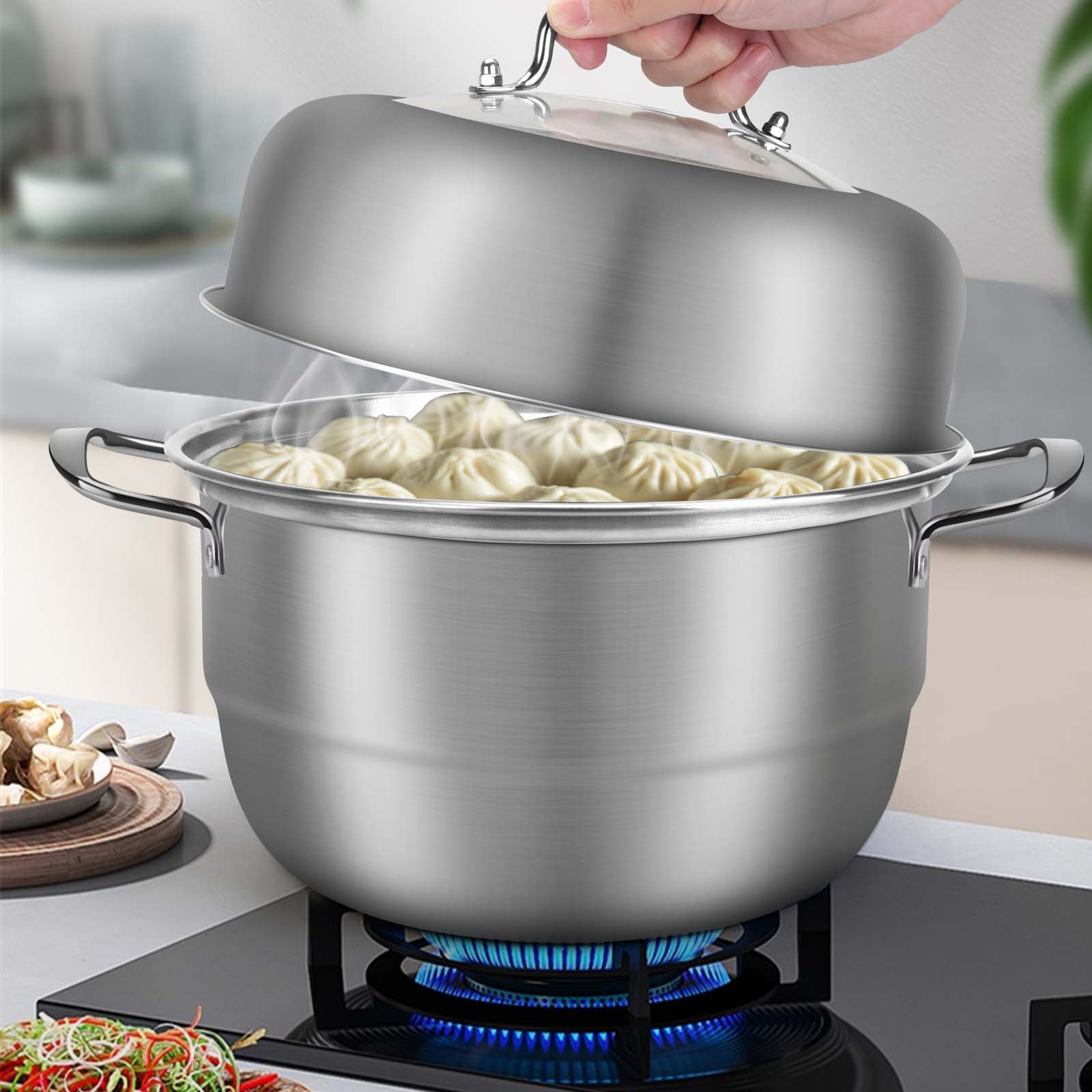 SSAWcasa Steamer Pot for Cooking 11 inch, 2 Tier Multipurpose Steaming Pot with Lid - Vegetable, Dumpling, Stock, Sauce (6Qt)