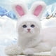 thumbnail image 2 of JANDEL 1 gorro adorable para mascota, divertido gorro con orejas de conejo para gato, perro, conejo, accesorios de fiesta para disfraz, gorro para gato, gatito, cachorro, mascota, materiales seguros, 2 of 8