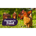 thumbnail image 4 of Forager's Feed Whole Dried Black Soldier Fly Larvae, Sustainable Chicken and Livestock Feed for Animal Health, 2 Lbs. Resealable Bag, 4 of 4