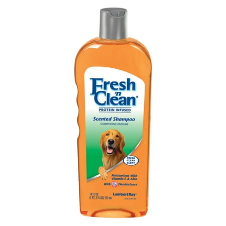 Fresh N Clean Shampoo