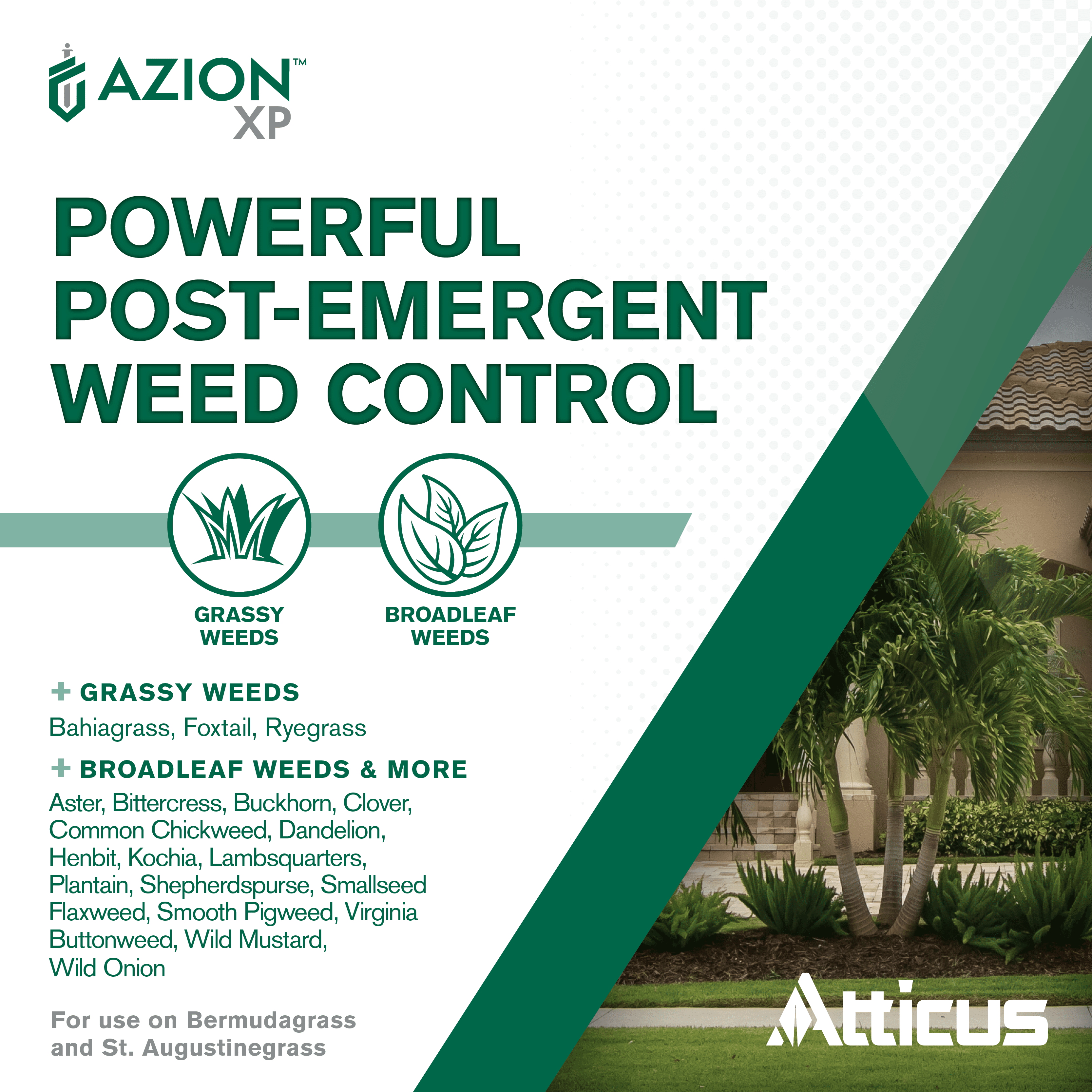 Azion XP MSM Turf Herbicide (16 oz) - Selective Postemergence Weed and  Brush Control, Metsulfuron Methyl 60% by Atticus - Walmart.com