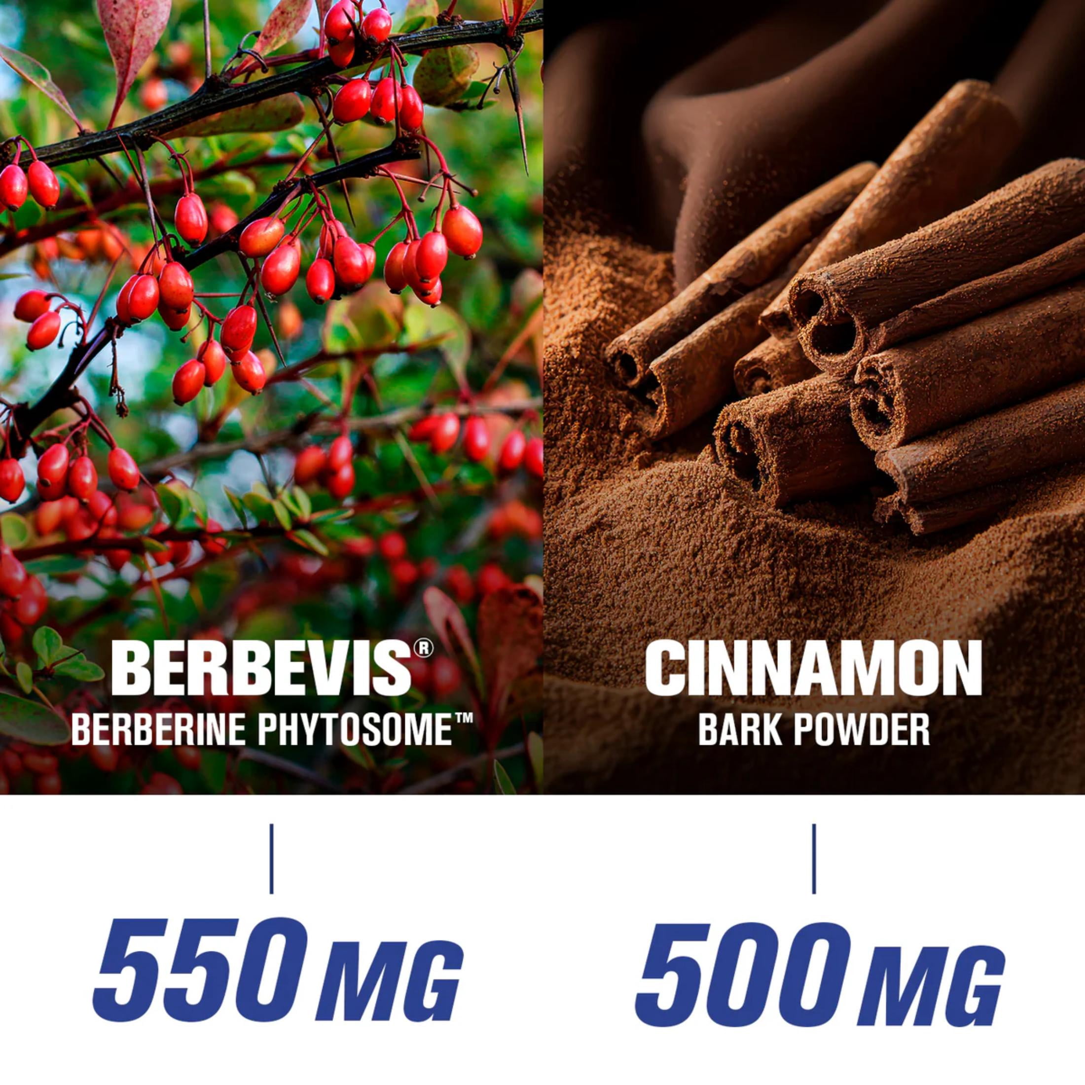 GAT SPORT Pro Berberine, Berbevis, Ceylon Cinnamon Extract, for Men and Woman, 60 Servings