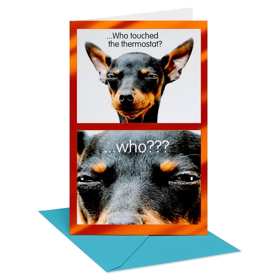 American Greetings Father's Day Card for Dad (Thermostat Humor)