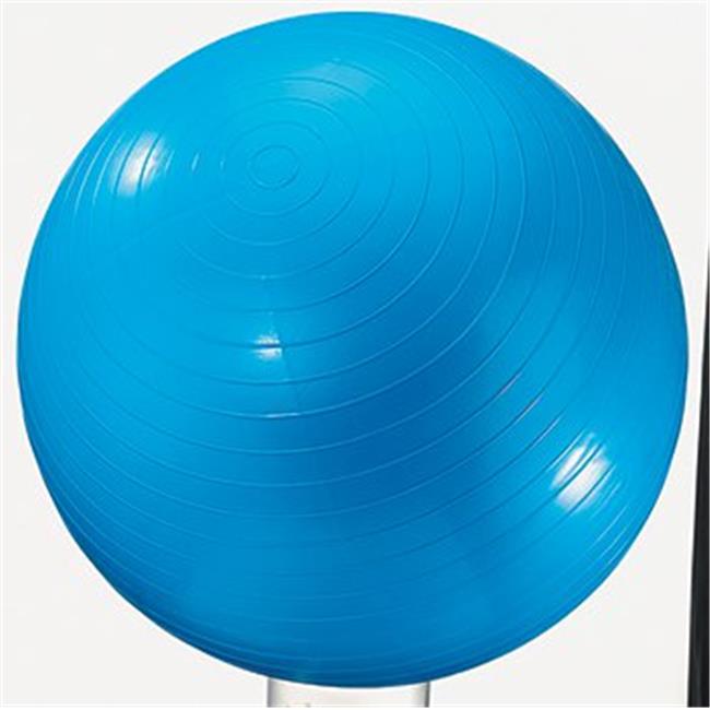 Dick Martin Sports Masgym24 Exercise Ball 24In Blue Walmart Canada