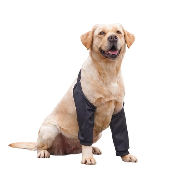 LLDYYDS Recovery Sleeve for Dogs Front Leg Right Left, Pet Prevent Licking Wound Elbow Knee Protector, Dog Recovery Suit Cone Collar Alternative 23cm