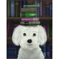 thumbnail image 2 of Fab Funky 12x14 White Modern Wood Framed Museum Art Print Titled - Bichon Frise and Books, 2 of 4