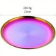 thumbnail image 2 of QUTETN 2pcs Stainl Steel Dinner Plates Dert Salad Plates Set Indian 9.1 Inch Colorful Round Metal Platter for Camping Unbreakable and Reusable Dishwasher Safe, 2 of 4