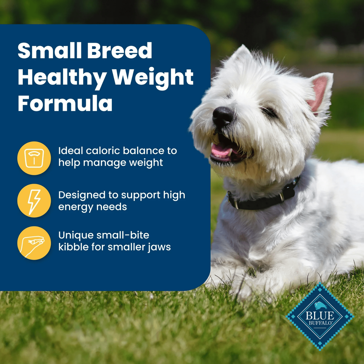 BLUE Life Protection Formula Small Breed Adult Healthy Weight Dry Dog Food 9.9kg