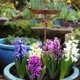 thumbnail image 1 of Baño para pájaros de jardín, bebedero para pájaros de hierro decorativo, con estaca, decoración de jardín resistente, comedero para pájaros para patio, 1 of 8