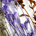 thumbnail image 4 of Bergamo Art 20 Inch High Real Preserved Mixed Bouquets Mix 7 in Large, 4 of 10