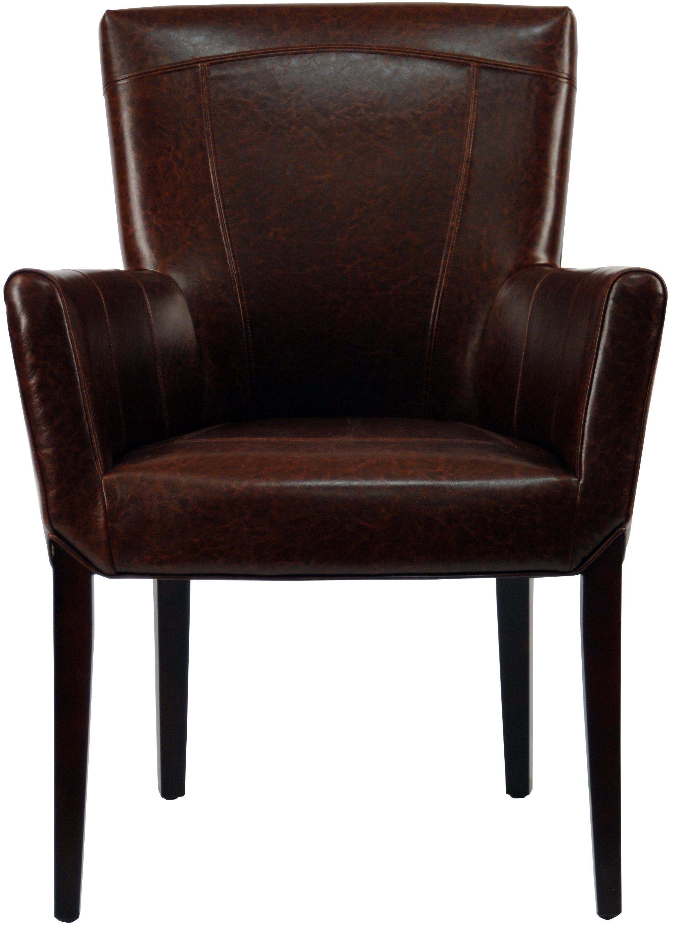 SAFAVIEH Ken Rustic Classic Leather Arm Chair, Brown