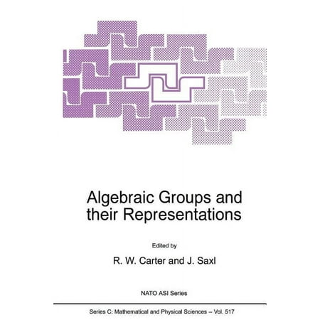 NATO Science Series C: Algebraic Groups and Their Representations Book 517 (Paperback)