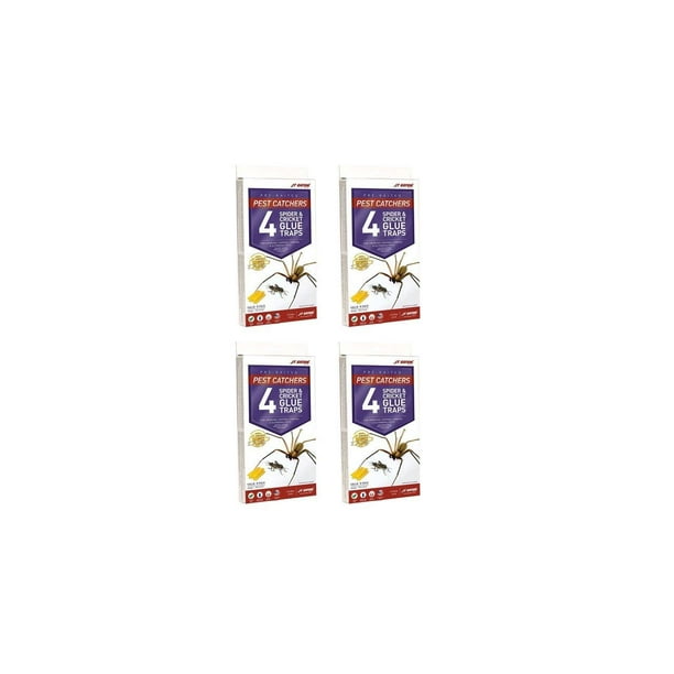 J T Eaton 646437141239 Jt Eaton 844 Pest Catchers Large Spider And Cricket Size Attractant 16 Traps Walmart Com Walmart Com