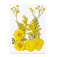 thumbnail image 3 of Paquete de material de flores secas para bricolaje accesorio de decoración artesanal hecho a mano (amarillo) JShteea Libre de BPA, 3 of 9