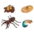 thumbnail image 1 of Miangastore 4 Pcs Ornements de Croissance d'Insectes Modèles d'Affichage d'Insectes pour Enfants, 1 of 9