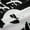 Black White 198, variant on Manfei White Owl Blackout Curtains Set of 2 (52x84 Each),Flying Animal Window Curtains,Winter Theme Curtains and Drapes For Kids,Luxury Bedroom Decor