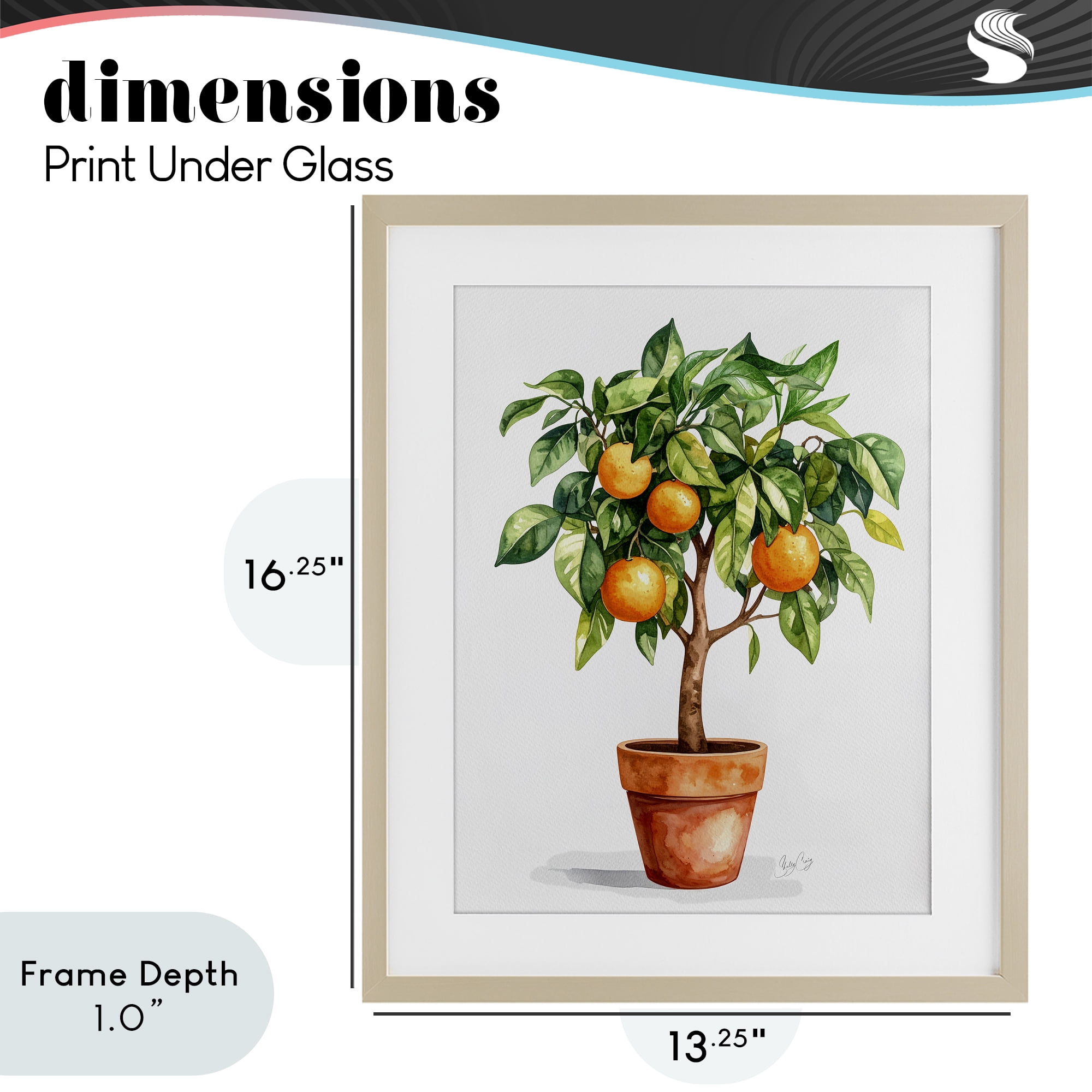 Stupell Industries Potted Orange Tree Birch Framed Print Under Glass, design by Shelly Craig