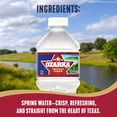 thumbnail image 4 of Ozarka Texas Spring Water, 12 Fl Oz, 12-Pack Plastic Bottles, 4 of 5