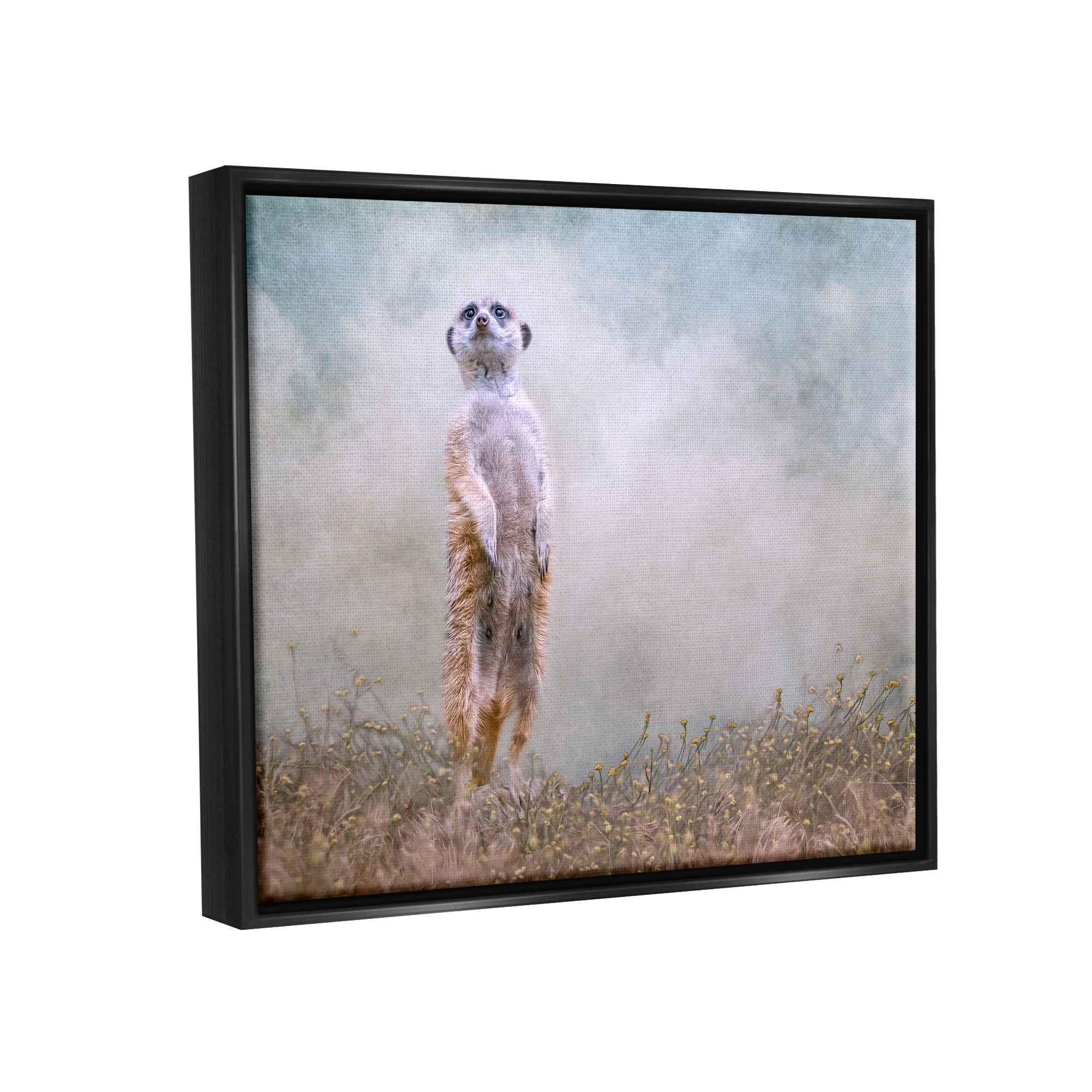 Stupell Meerkat Watching Prairie Nature Animals & Insects Photography Black Floater Framed Art Print Wall Art