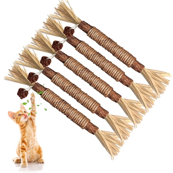 Palitos masticables Cat Toy GBSYU Silvervine para gatos de interior, paquete de 5