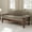 Brown, variant on Christopher Knight Home 72.8" Modern Loveseat Sofa, 2-Seater Couch with Armrest Pillows, Beige
