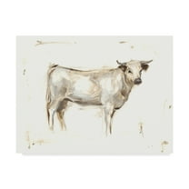 Trademark Fine Art 'White Cattle I' Canvas Art by Ethan Harper