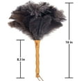 thumbnail image 2 of Ostrich Feather Duster, 16 inch Ostrich Feather Duster with Wood Handle Reusable, Fluffy Natural Genuine Handheld Feather Duster for Cleaning Supplies, Home, Car, Office, 2 of 4