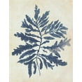 thumbnail image 2 of Fab Funky 26x32 White Modern Wood Framed Museum Art Print Titled - Indigo Blue Seaweed 2 b, 2 of 4