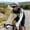 Gray, variant on Ice Silk Arm Sleeves for Outdoor UV-Protecting Sleeves with Fingerless Hand Cover Breathable Arm Cover Shielding Arms from Sunlight Suitable for Outdoor Hiking Biking18.9"*4.92"
