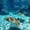 Blue 14, variant on jejeloiu Deep Ocean Shark Bedding,Silhouette Print Duvet Cover Full For Boys,Blue Black,Navy Blue Reversible,3-Piece,1 Duvet Cover and 2 Pillowcases