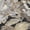 Black, variant on Addison Rugs Chantille Indoor/Outdoor Transitional Floral Black Machine Washable Rectangle Rug, 10' x 14'