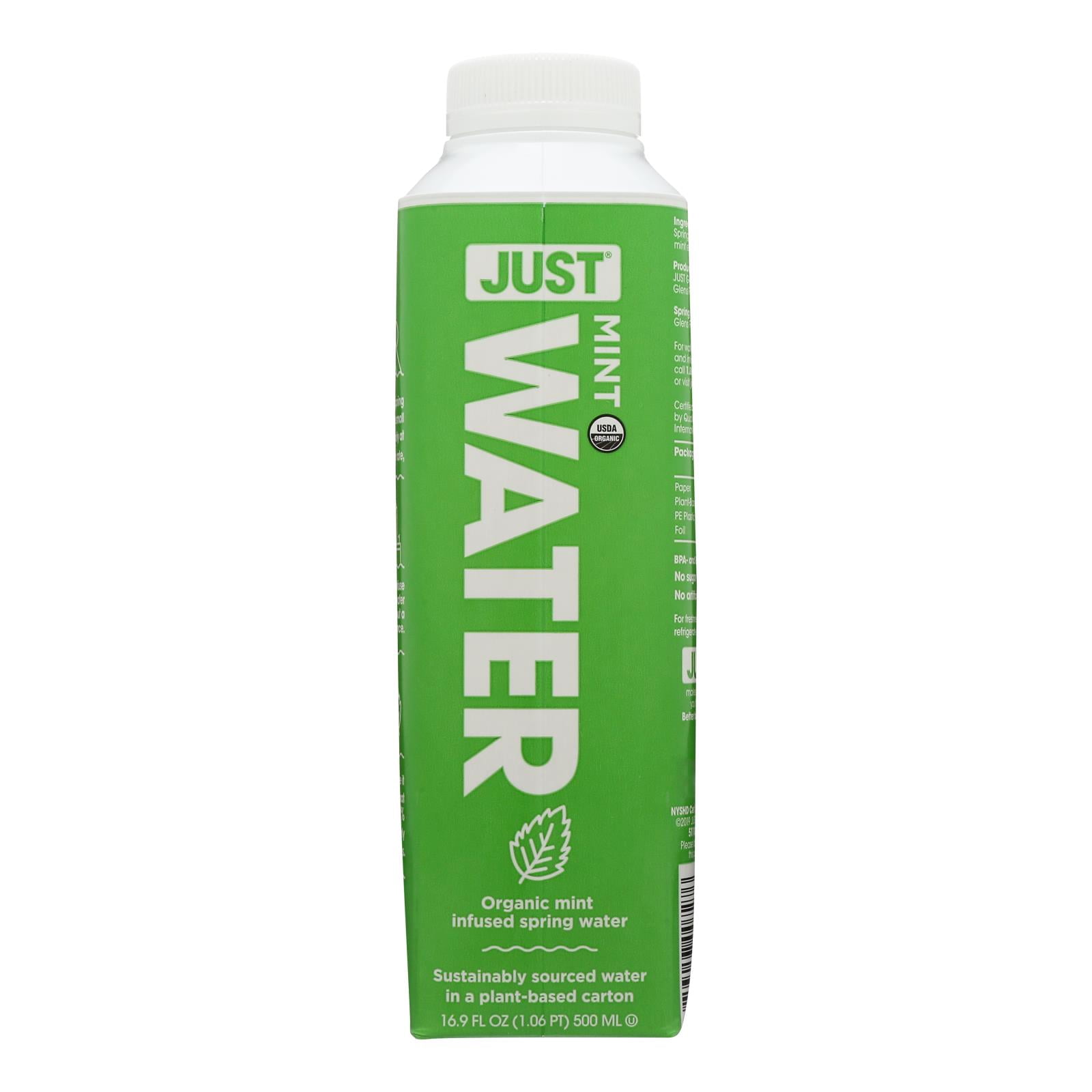 Just Water - Water Mint Infused - Case Of 12 - 16.9 Fz - Walmart.com