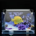 thumbnail image 3 of Lampe Aquarium Mini LED Extensible pour Aquarium, 3 of 12