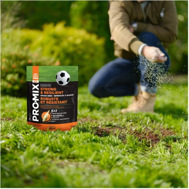 Premium Strong and Resilient Grass Seed 1.3 kg Walmart