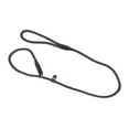 thumbnail image 1 of Benji & Flo Classic Dog Slip Lead, 1 of 1
