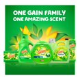 thumbnail image 4 of Gain Fabric Softener, Original, HE Compatible, 4 of 8