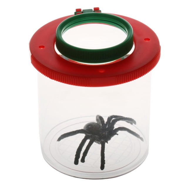 4X Power Bright Colors Visor de Caja de tapa de aire Lupa Lupa de Juguete de enseñanza Len con araña espeluznante Zulema lupa de insectos