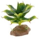 thumbnail image 5 of TERRARIO MULTI PEQUEÑA PNTA RACIÓN DE ES VIVARIUM Yuyangstore Terrería de reptiles, 5 of 8