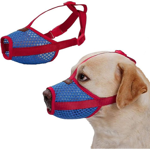 Bozal de Malla Transpirable Rojo Verde Ajustable Antiladridos para Perros Pequeños y Medianos L