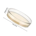 thumbnail image 2 of Hemobllo 10Pcs Prepoured Transparent Agar Plates with Lids for Laboratory Science Experiments, 2 of 8